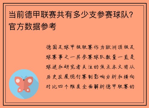 当前德甲联赛共有多少支参赛球队？官方数据参考